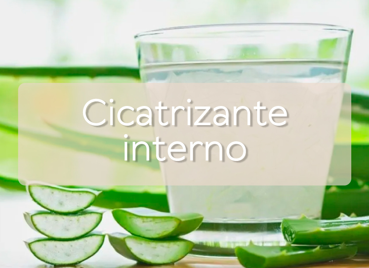Imagen destacada
